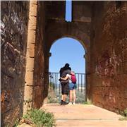 Laureata in lettere posso insegnare italiano, storia e geografia